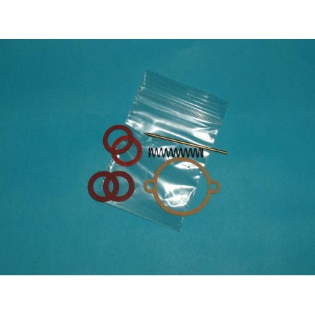 Kit piezas carburador DELLORTO